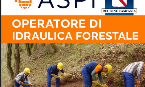 Corso Operatore di idraulica forestale